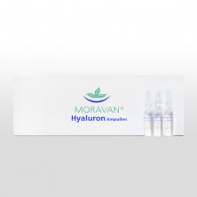 Hyaluron Ampullen 10x2ml